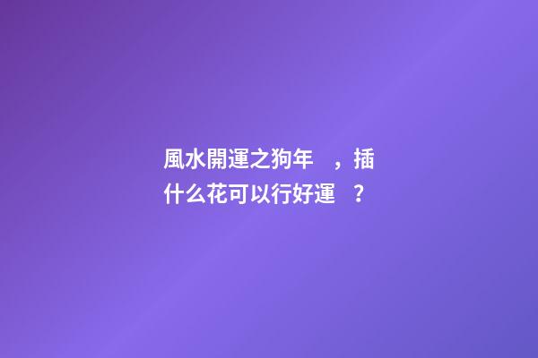 風水開運之狗年，插什么花可以行好運？